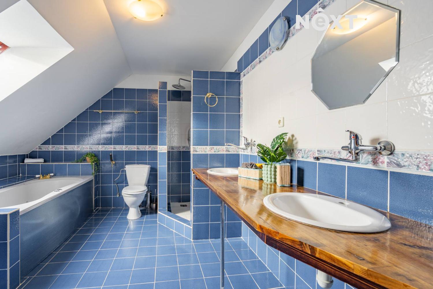 Prodej Chalupa, 360㎡