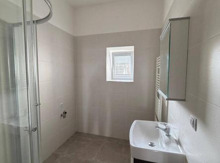 Pronájem bytu, 1+kk, 43 m²