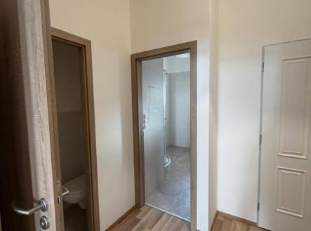 Pronájem bytu, 1+kk, 43 m²
