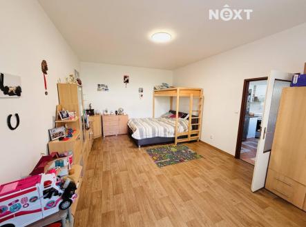 Pronájem bytu, 1+1, 48 m²