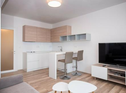 Prodej bytu, 1+kk, 22 m²