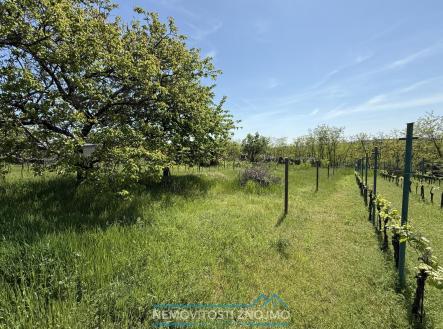 Prodej - pozemek, zahrada, 650 m² obrázek