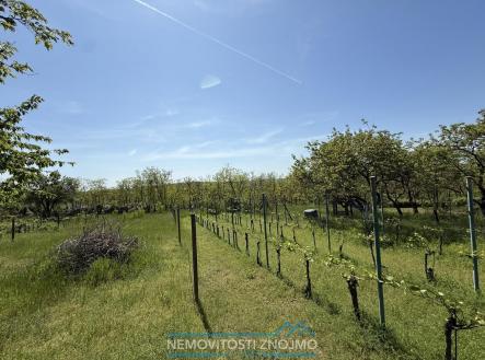 IMG_7848.JPEG | Prodej - pozemek, zahrada, 650 m²