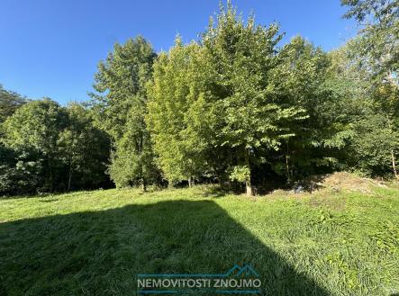 IMG_0656.JPEG | Prodej - dům/vila, 300 m²