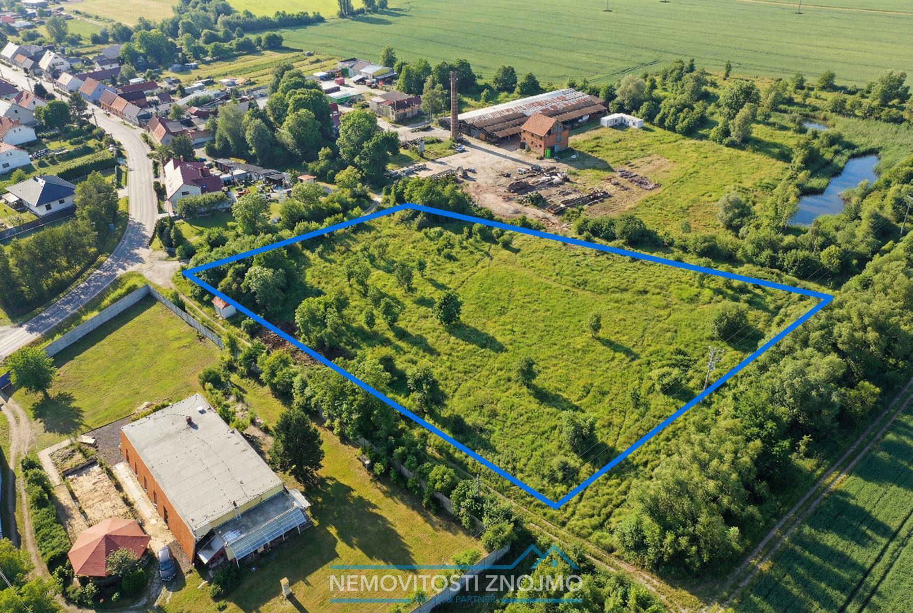 Image_20260220_231640 kopie.jpg