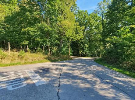 20250921_151747.jpg | Prodej - pozemek, zahrada, 423 m²