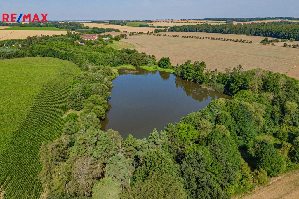 dji-20240718094924-0004-d.jpg