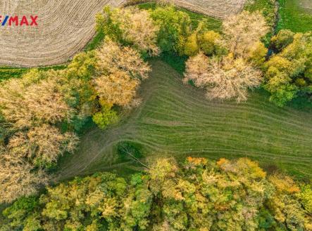 dji-20241027162052-0039-d-vylepsene-nr.jpg | Prodej - pozemek, trvalý travní porost, 5 000 m²