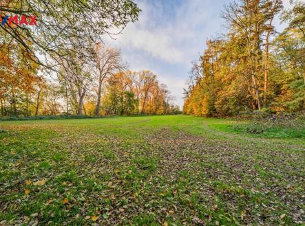 Prodej - pozemek, trvalý travní porost, 5 000 m² obrázek