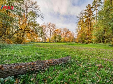 Prodej - pozemek, trvalý travní porost, 5 000 m² obrázek