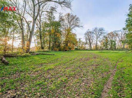 p1254494.jpg | Prodej - pozemek, trvalý travní porost, 5 000 m²