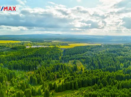 250623-pozemek-raselina-18.jpg | Prodej - pozemek, les, 668 028 m²