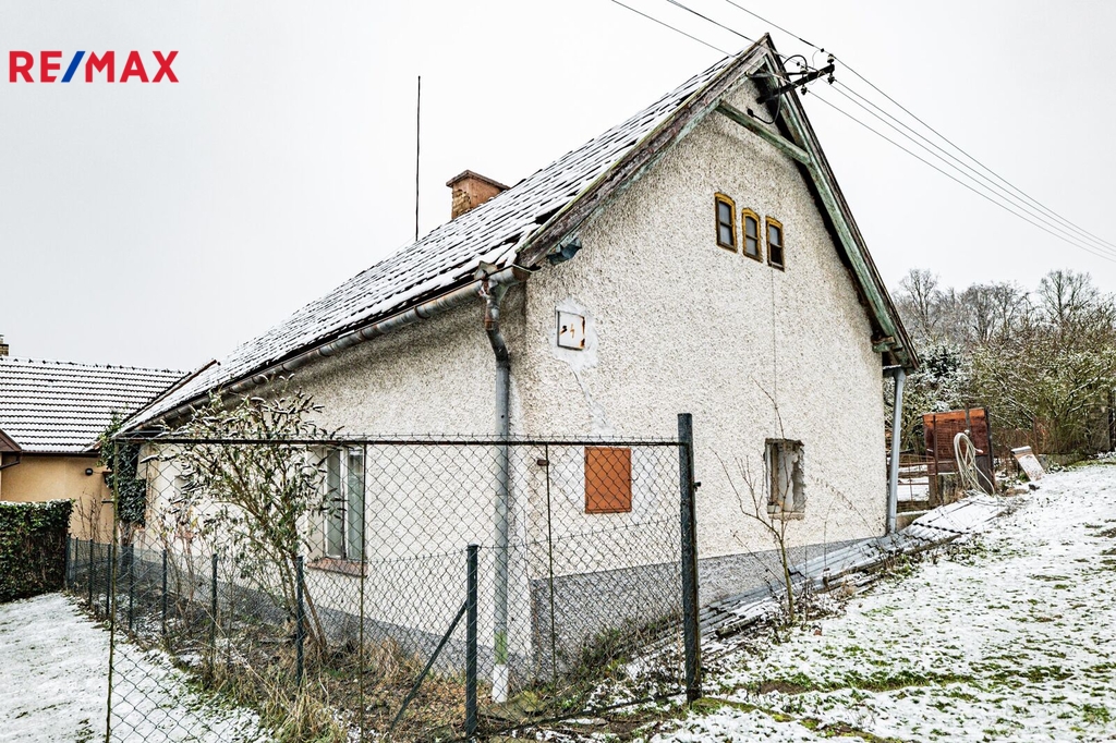 p1294954.jpg
