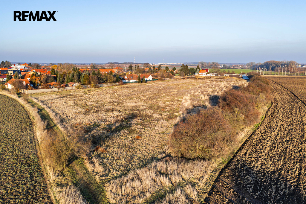 dji-20250204154624-0321-d-vylepsene-nr.jpg
