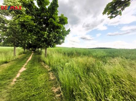 Prodej - pozemek, zemědělská půda, 34 240 m² obrázek