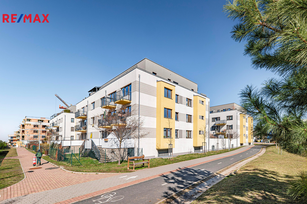p1456212-vylepsene-nr-1.jpg
