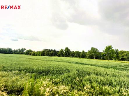 20250606-150732.jpg | Prodej - pozemek, zemědělská půda, 22 979 m²