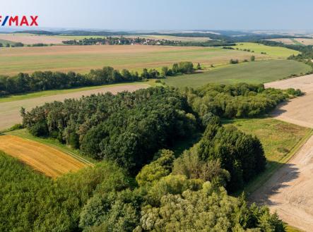 240828-lasovice-2.jpg | Prodej - pozemek, ostatní, 11 138 m²