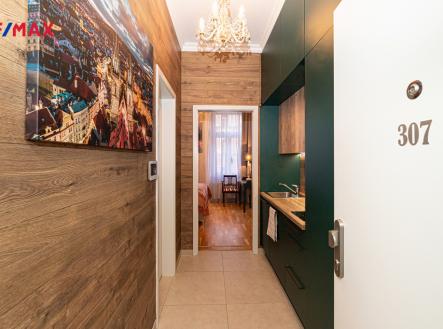 10.jpg | Pronájem bytu, 1+kk, 25 m²