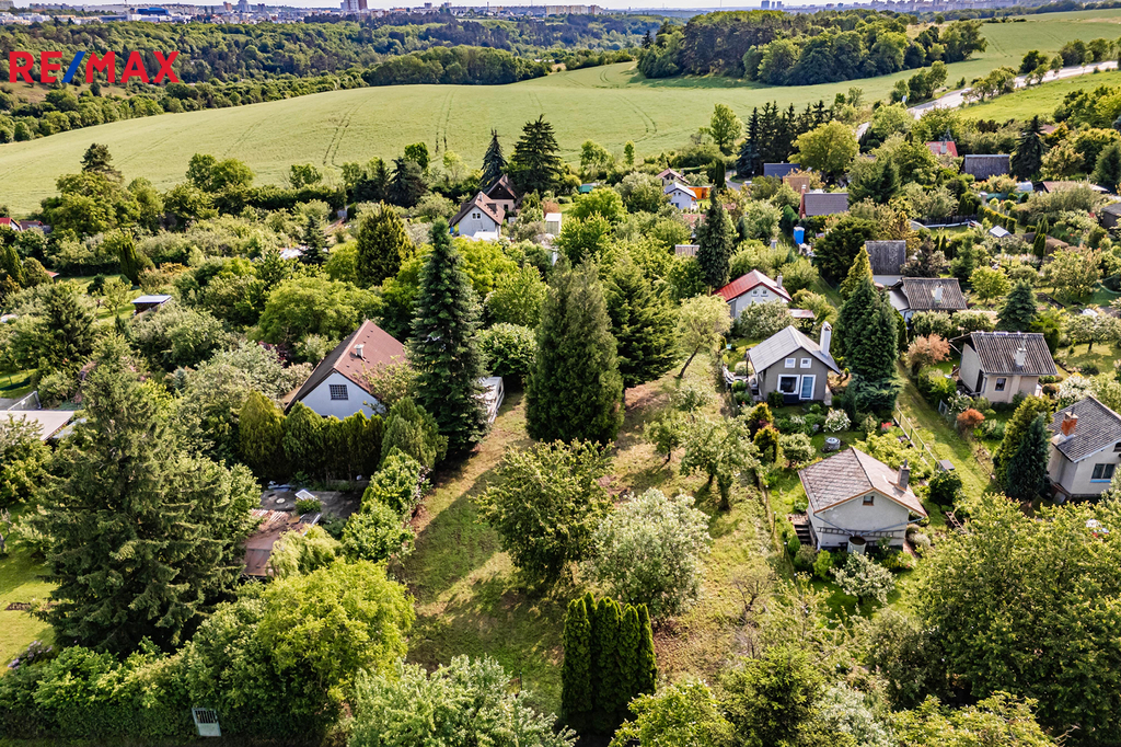 dji-20250609084258-0036-d.jpg