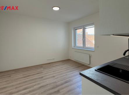1.png | Pronájem bytu, 1+kk, 25 m²