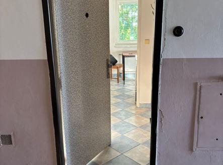 whatsapp-image-2025-06-19-at-19.19.28.jpeg | Pronájem bytu, 1+1, 1 620 m²