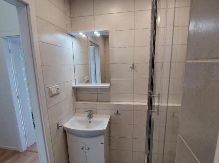 21.jpg | Prodej bytu, 1+kk, 33 m²