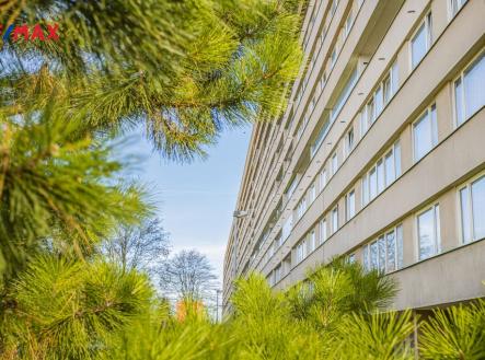 Pohled na dům | Pronájem bytu, 1+kk, 34 m²