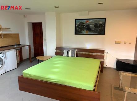 66c26bff-4576-4a9f-b0e4-d12447d06d0b.jpeg | Pronájem bytu, 1+kk, 40 m²