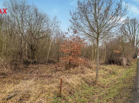 p1119185.jpg | Prodej - pozemek pro bydlení, 2 055 m²