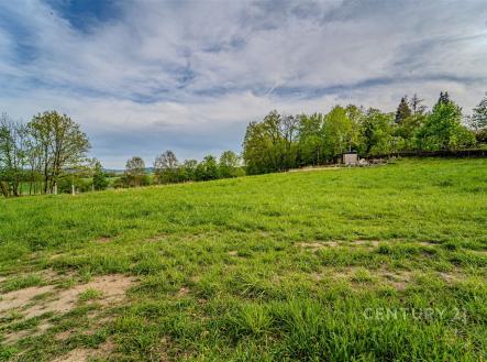 . | Prodej - pozemek pro bydlení, 3 010 m²