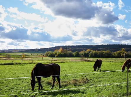 . | Prodej - zemědělský objekt, 800 m²