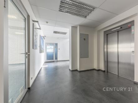 Světlá vstupní hala s dlažbou, moderní výtah a prosklené dveře, zajišťující přirozené světlo, zachovávají svěží a funkční design budovy. | Pronájem - kanceláře, 91 m²