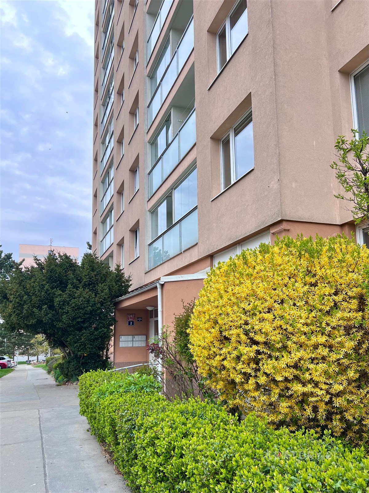 Vchod do panelového domu s upravenou zelení, moderní fasáda, nové vchodové dveře a okna zajišťují estetický vzhled a pohodlný vstup.