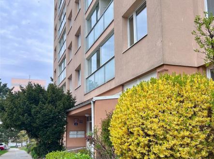 Vchod do panelového domu s upravenou zelení, moderní fasáda, nové vchodové dveře a okna zajišťují estetický vzhled a pohodlný vstup. | Pronájem bytu, 2+kk, 42 m²