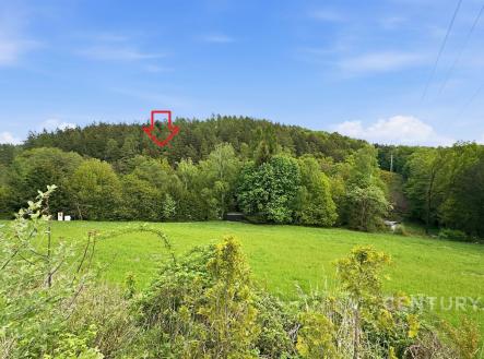 "" | Prodej - pozemek, trvalý travní porost, 3 057 m²