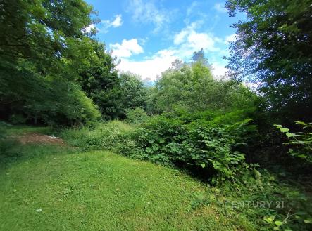 . | Prodej - pozemek, zahrada, 4 886 m²