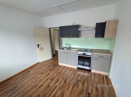 Pronájem bytu, 1+1, 41 m²