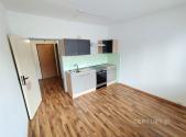 Pronájem bytu, 1+1, 41 m²