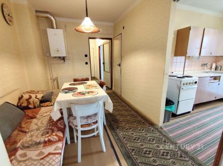 . | Pronájem bytu, 3+1, 67 m²