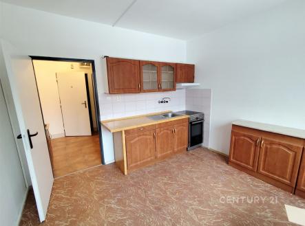 Pronájem bytu, 1+1, 41 m² obrázek