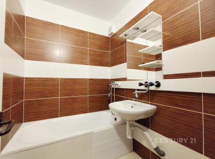 . | Pronájem bytu, 1+1, 41 m²