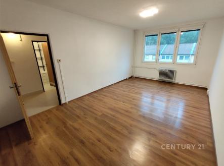 . | Pronájem bytu, 1+1, 41 m²