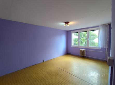 . | Pronájem bytu, 1+1, 41 m²