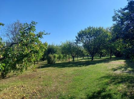 20250904_102024 | Prodej - pozemek pro bydlení, 3 437 m²