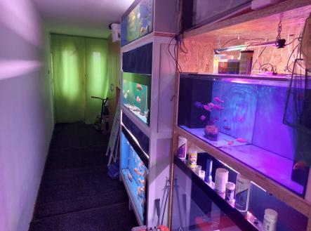 20251114_103045 | Prodej - dům/vila, 73 m²