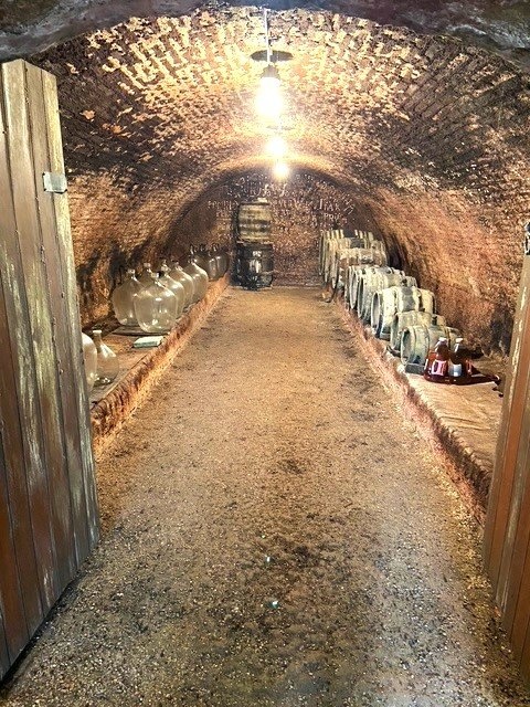 Prodej stavebního pozemku s vinným sklípkem, 273 m², Dolní Dunajovice