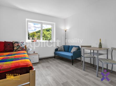 SvCecha311 AP-10 2 | Pronájem bytu, 1+kk, 25 m²