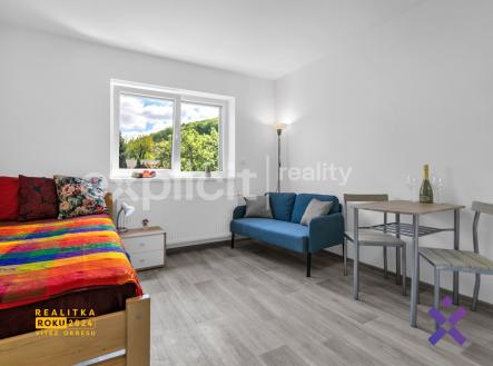 SvCecha311 AP-10 2 | Pronájem bytu, 1+kk, 25 m²