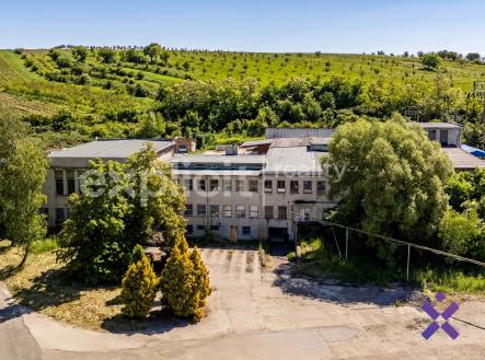 Komerční areál Šardice | Prodej - komerční objekt, výroba, 1 837 m²